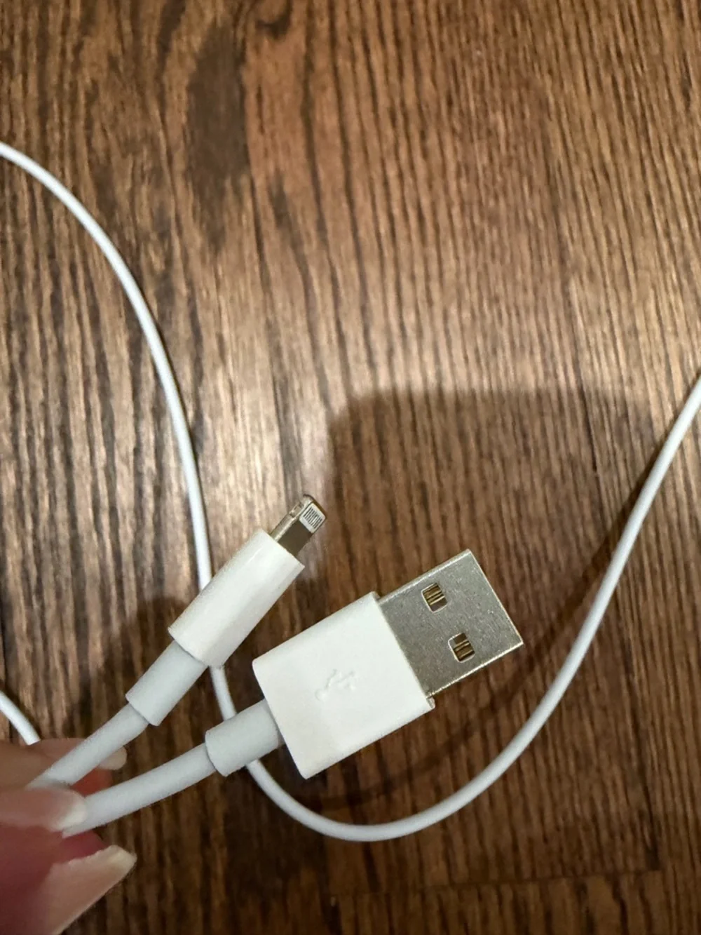 iPhone 10 ft Charger USB